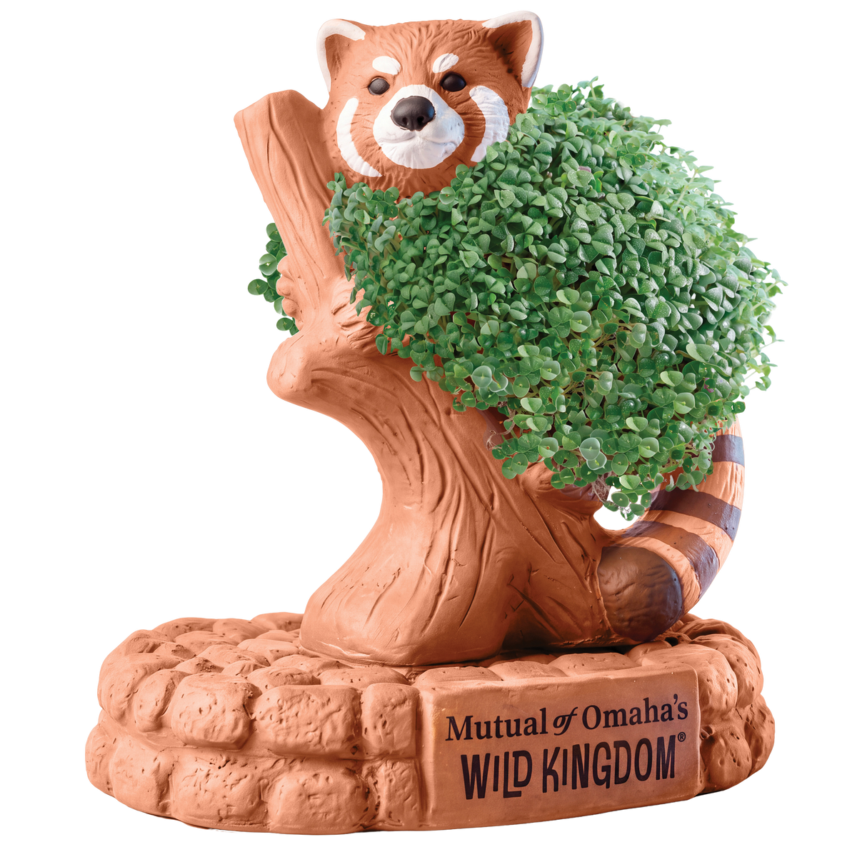 Mutual of Omaha's Wild Kingdom® Red Panda Chia Pet® (PRE-ORDER)