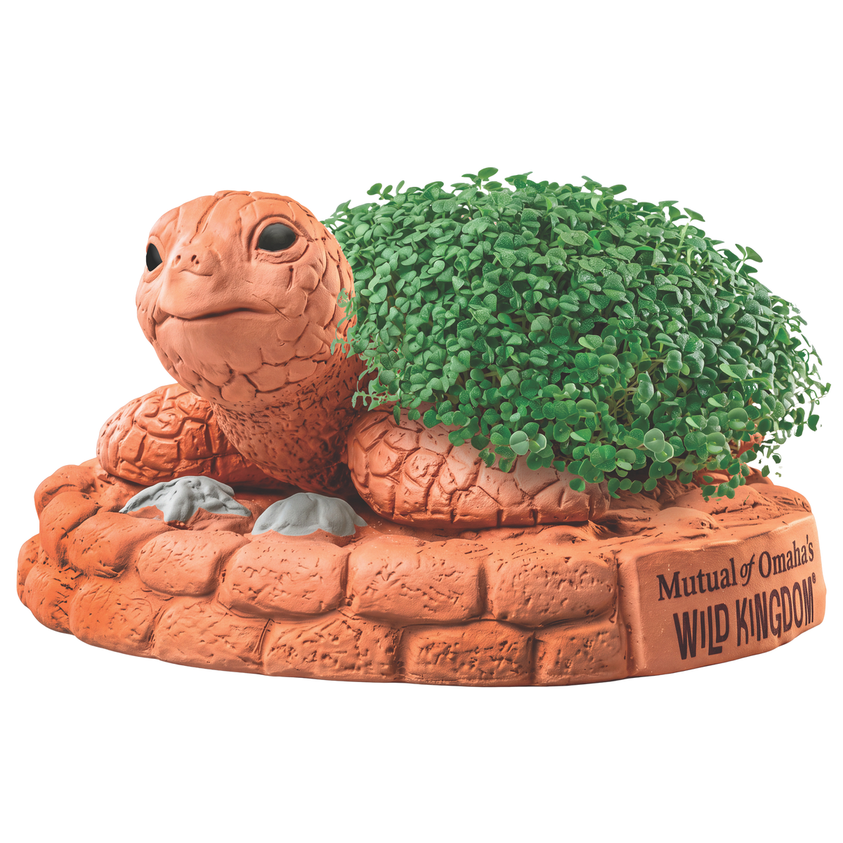 Mutual of Omaha's Wild Kingdom® Sea Turtle Chia Pet® (PRE-ORDER)