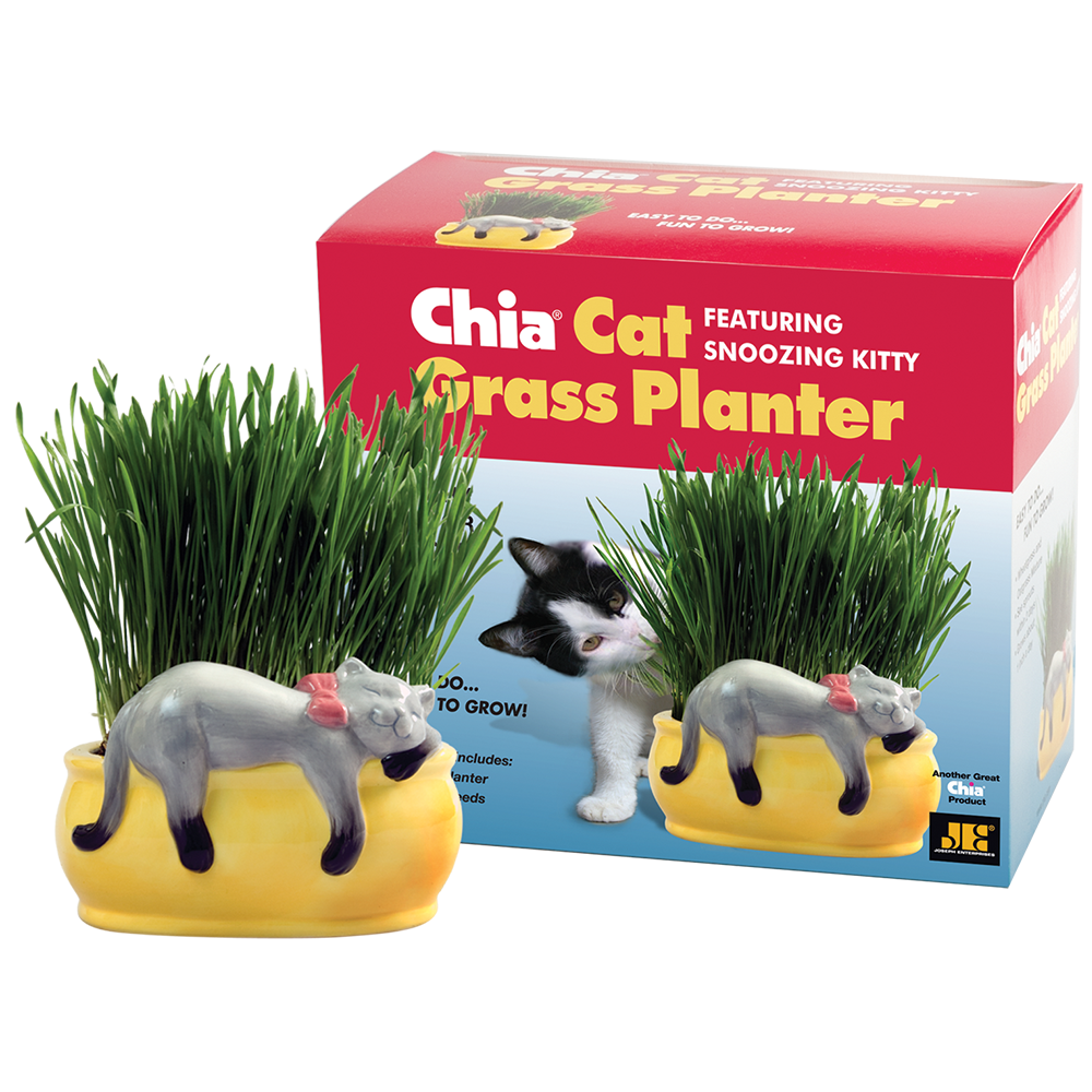 Snoozing Kitty Chia® Cat Grass Planter - Chia.com