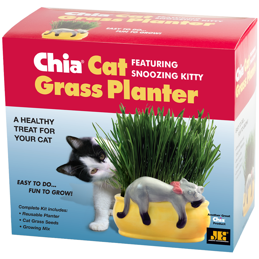 Snoozing Kitty Chia® Cat Grass Planter - Chia.com