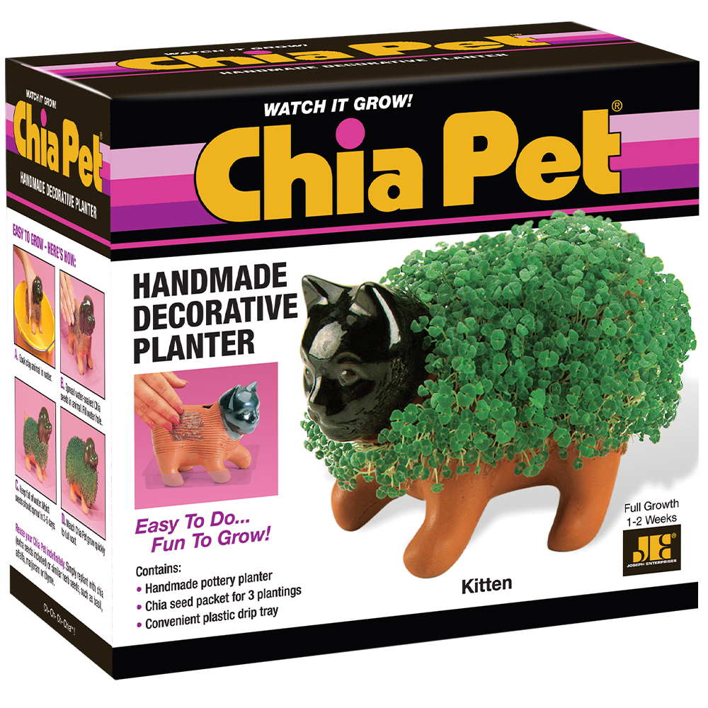 Classic Kitten Chia Pet® - Chia.com