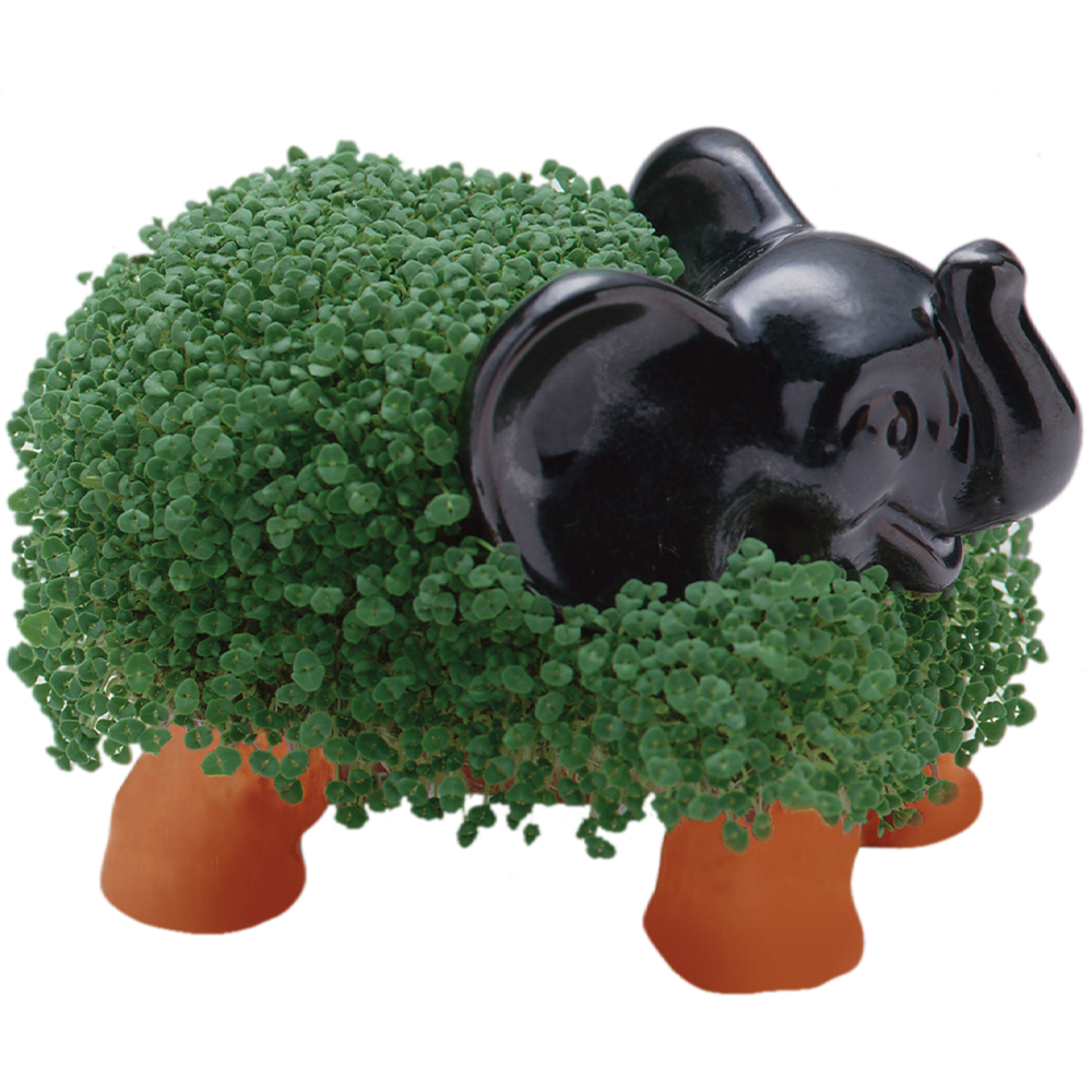 Classic Elephant Chia Pet® - Chia.com