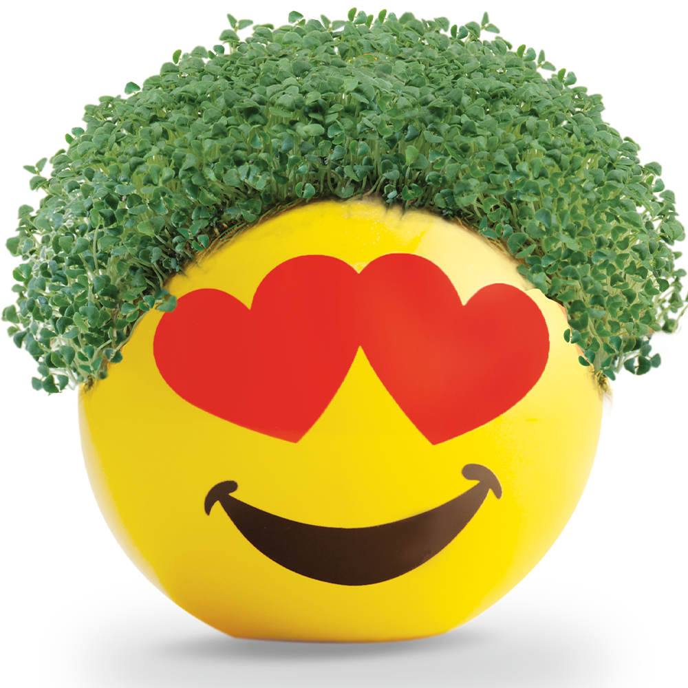 Emoji Heart Eyes Chia Pet® - Chia.com