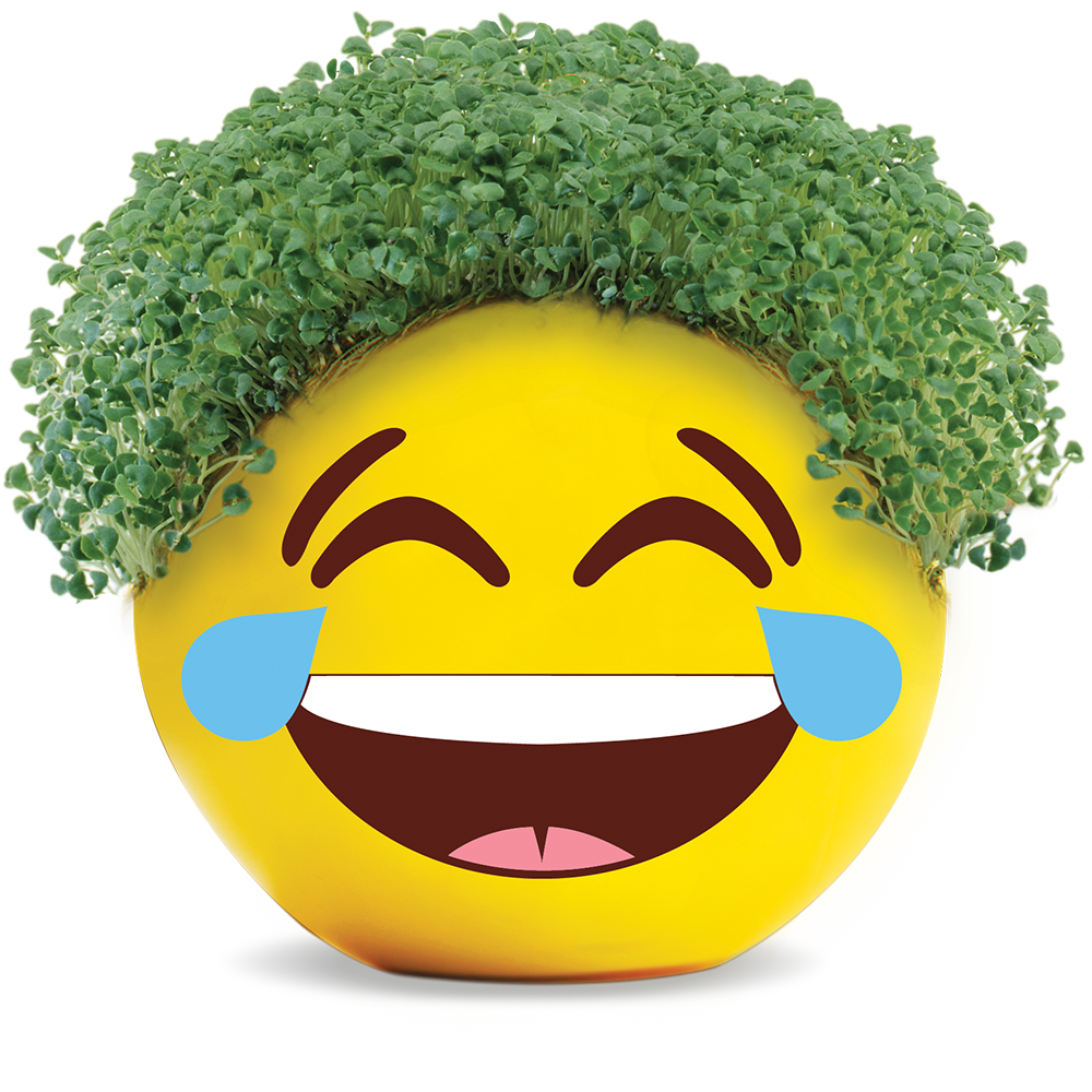 Emoji Tears of Joy Chia Pet® - Chia.com