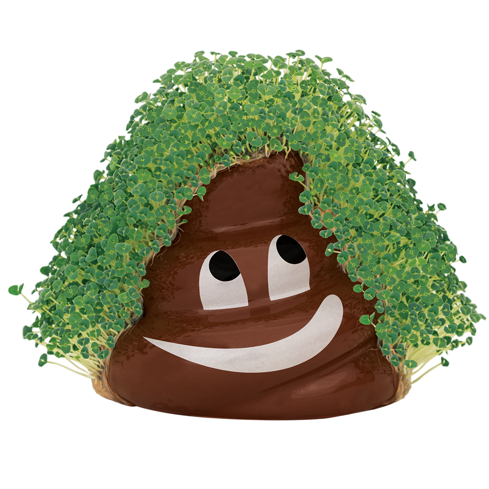 Emoji Poopy Chia Pet® - Chia.com