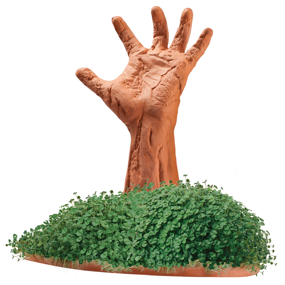 Zombie Restless Arm Chia Pet® - Chia.com