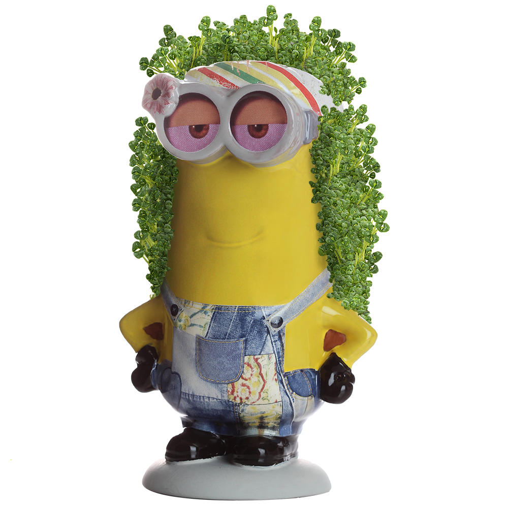 Minions Kevin Chia Pet® - Chia.com