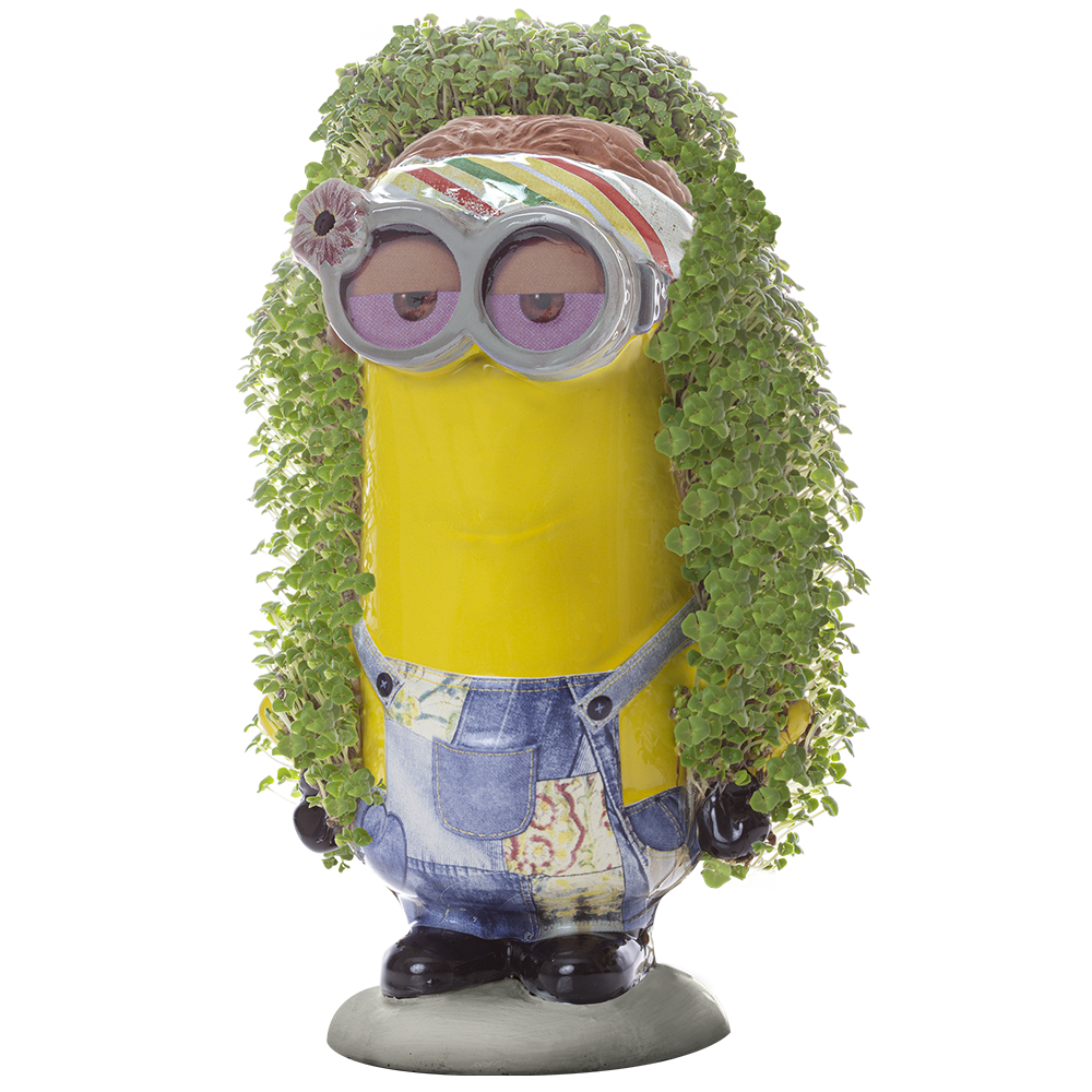 Minions Kevin Chia Pet® - Chia.com