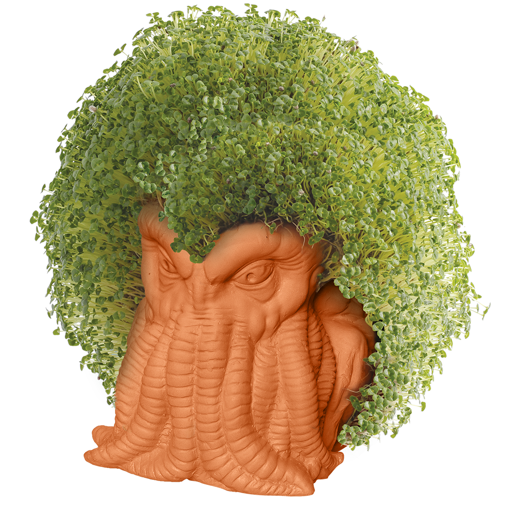 Cthulhu Chia Pet® - Chia.com