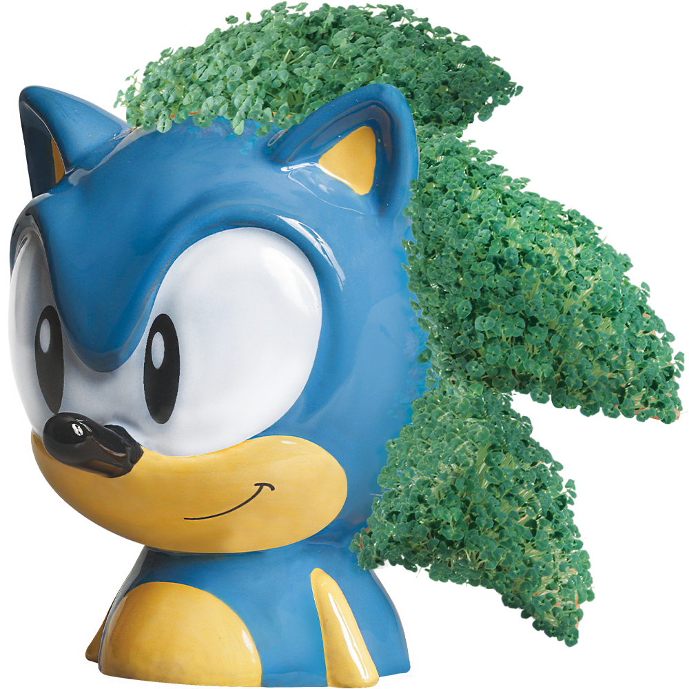 Sonic the Hedgehog Chia Pet® - Chia.com