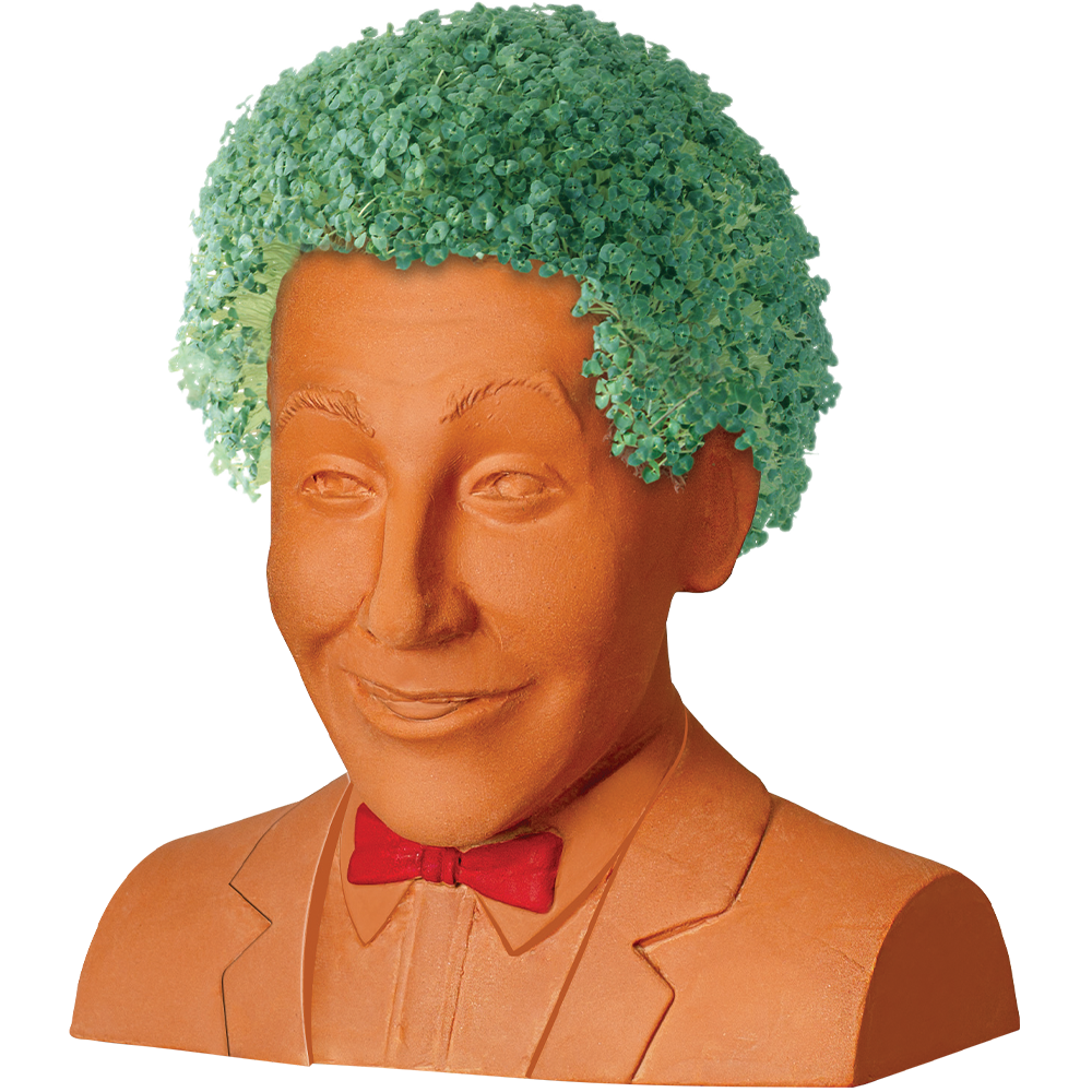 Pee-Wee Herman Chia Pet® - Chia.com