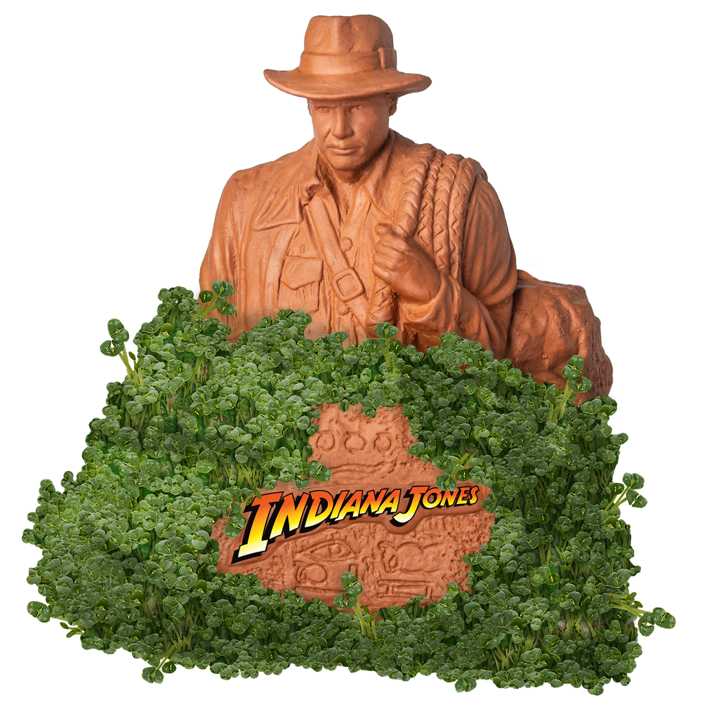 Indiana Jones™ Chia Pet® - Chia.com