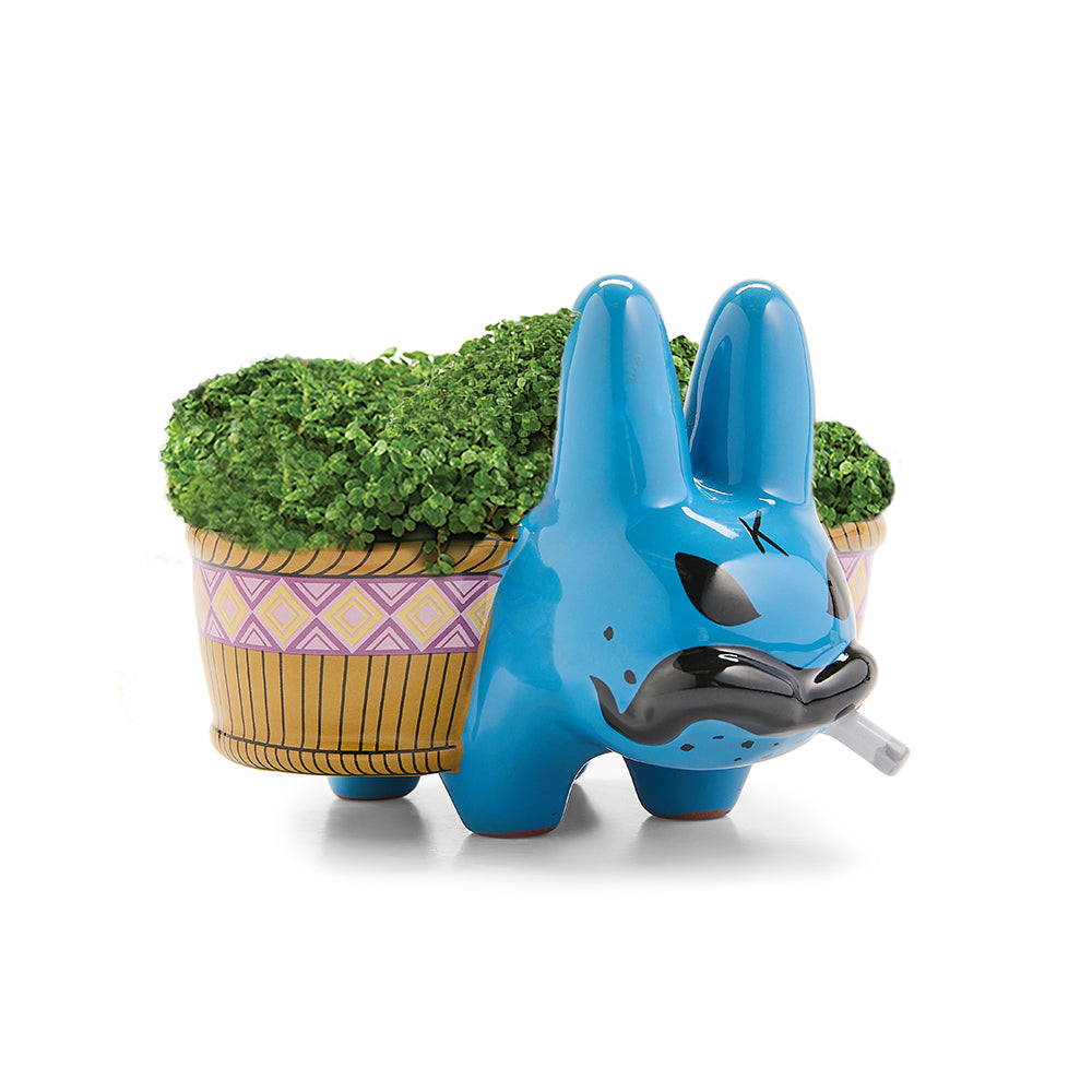 Chia Pet Smorkin’ Labbit - Smokin' Cool Blue Edition (Limited Edition of 800)
