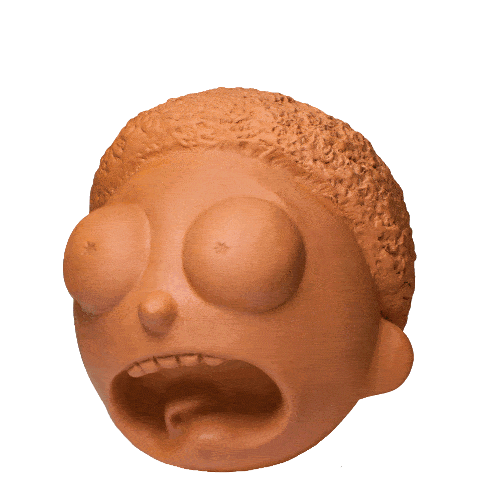 rick and morty plant pot Chia Pet: Rick & Morty