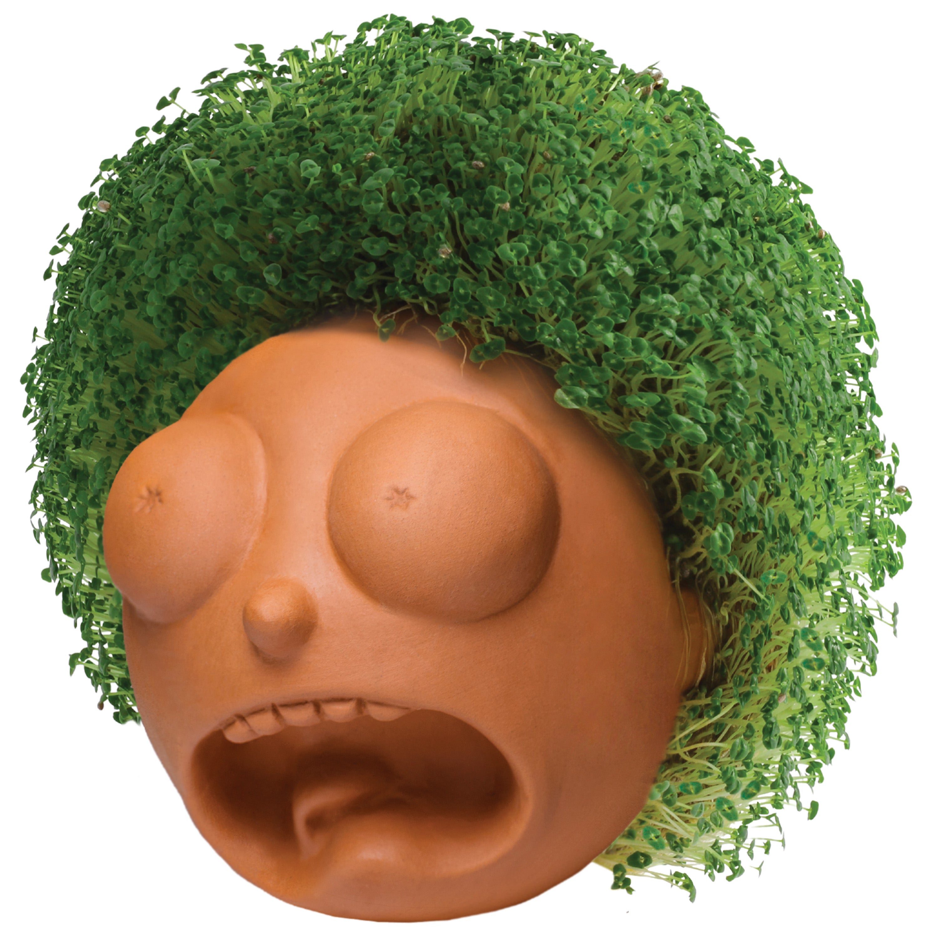 Rick and Morty Chia Pet® Morty - Chia.com