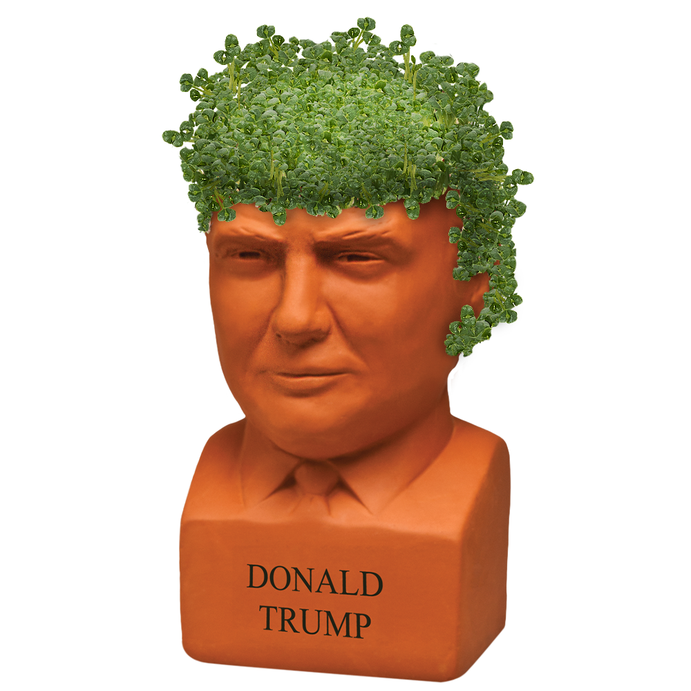 Donald Trump Chia Pet® - Chia.com