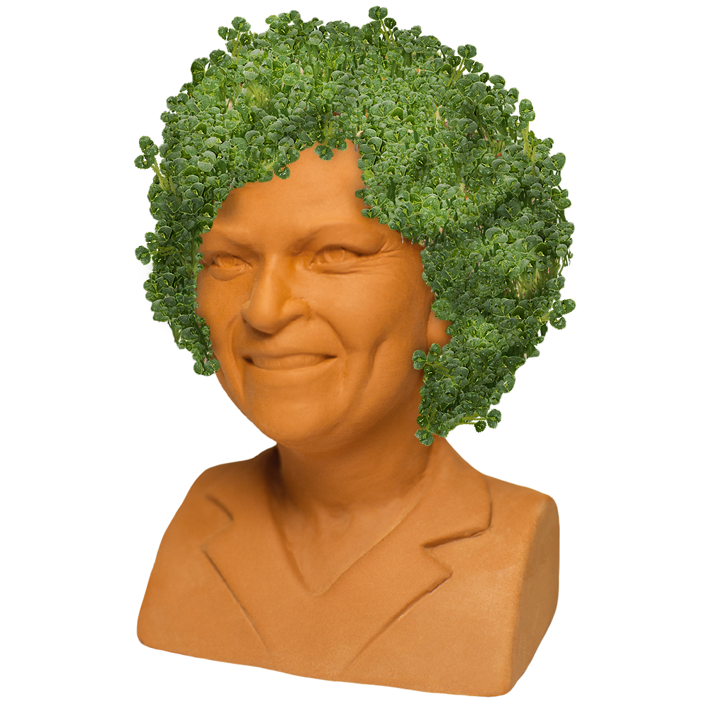 The Golden Girls Rose Chia Pet® - Chia.com