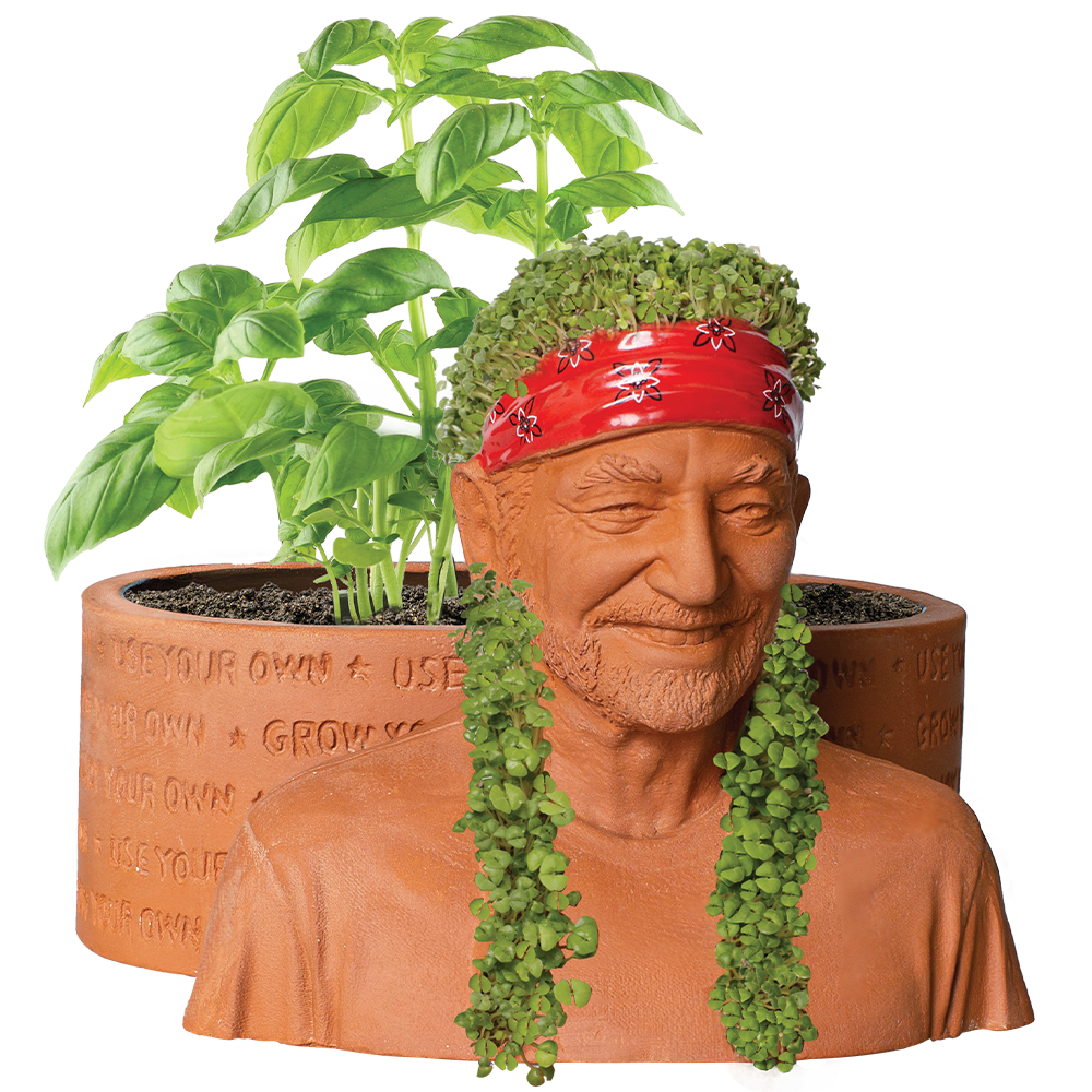 chia plant pot Willie Nelson Chia Pet® Herb Planter