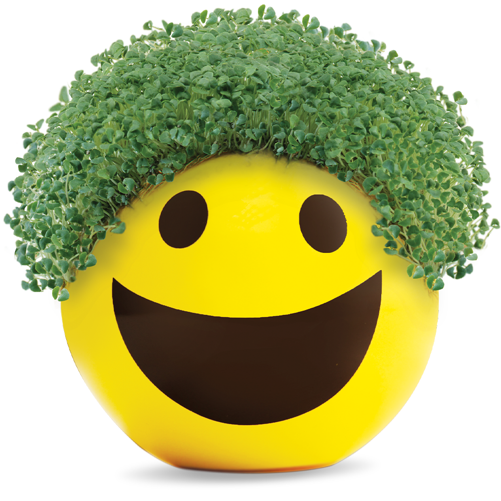 Emoji Smiley Chia Pet® - Chia.com