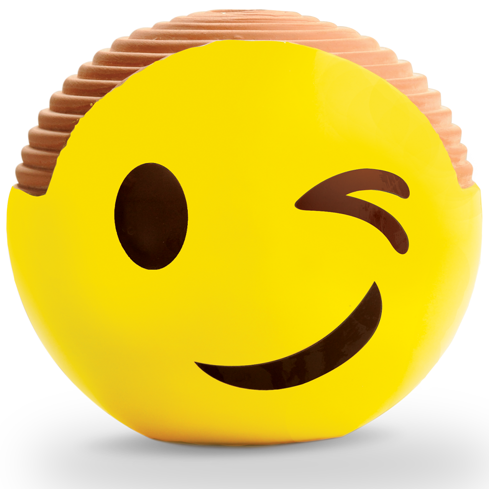 Emoji Winky Chia Pet® - Chia.com