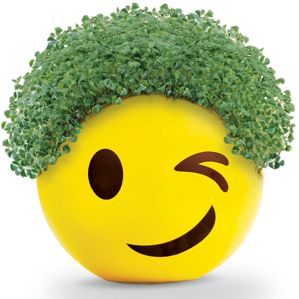 Emoji Winky Chia Pet® - Chia.com