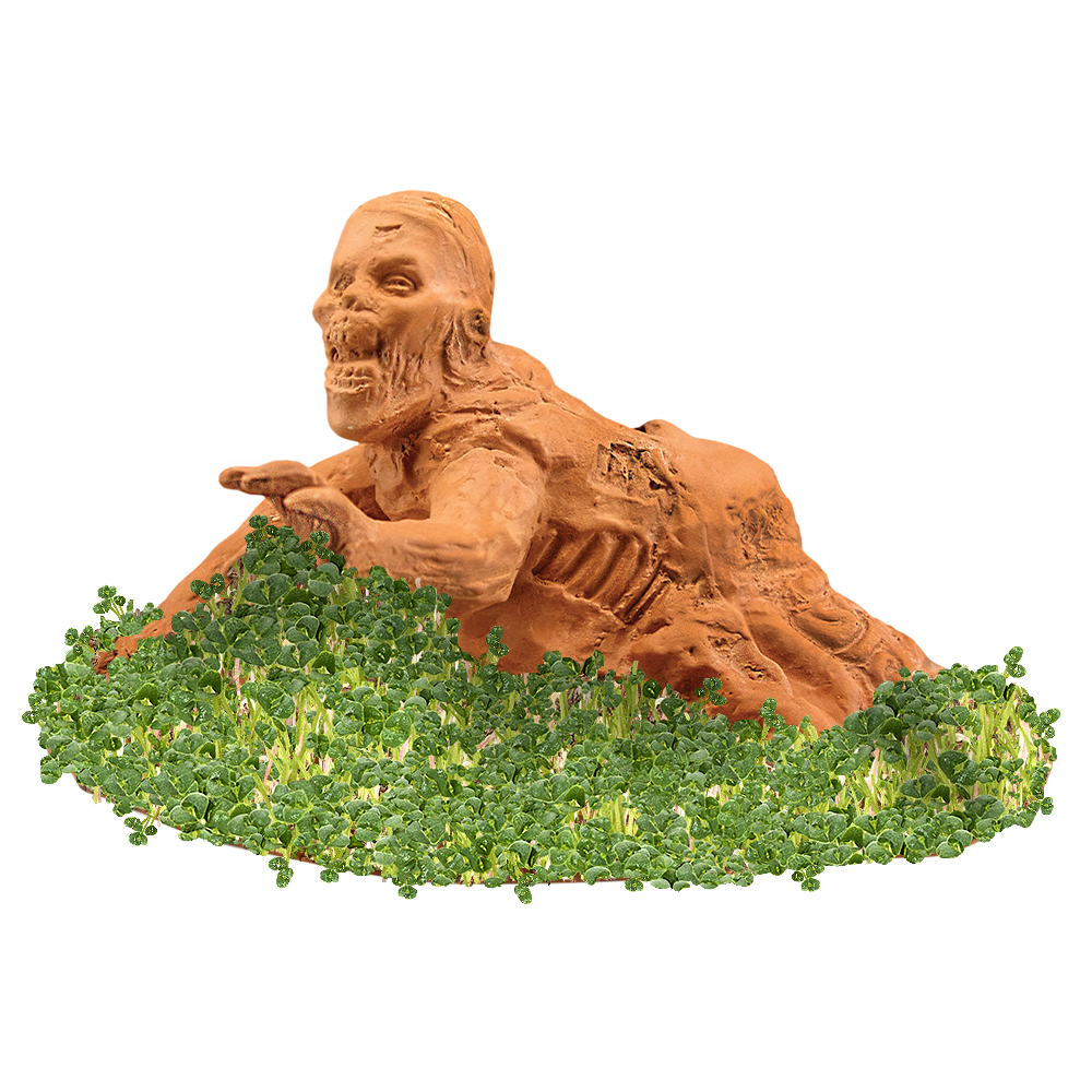 Zombie Crawler Chia Pet® - Chia.com