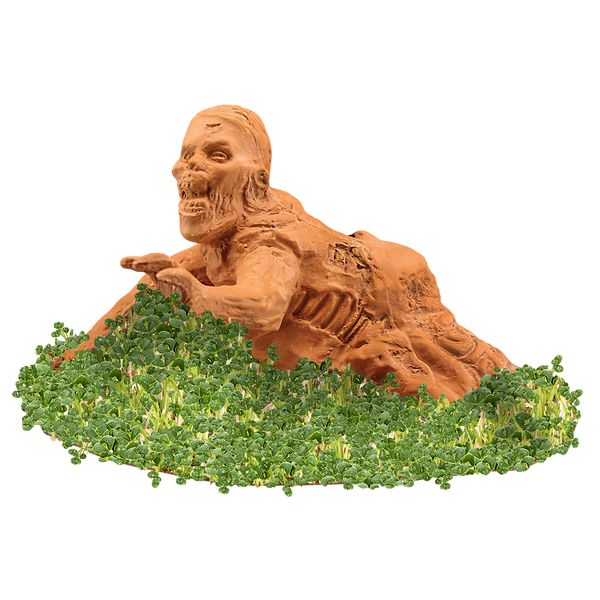 Zombie Crawler Chia Pet® – Chia.com
