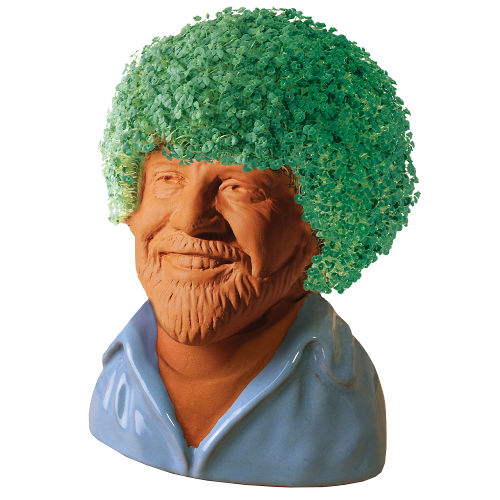 Bob Ross® in Blue Shirt Chia Pet® - Chia.com