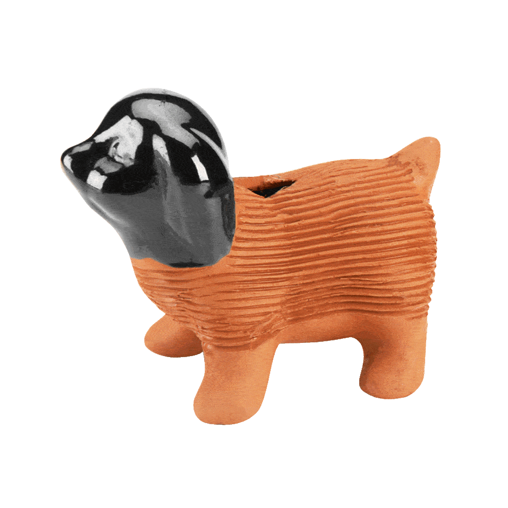 Origble Chia Head Original