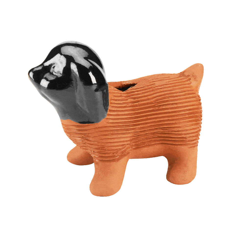 Original puppy chia pet chia