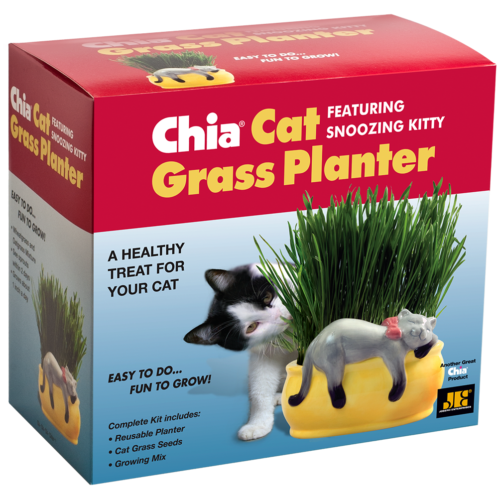 Snoozing Kitty Chia® Cat Grass Planter - Chia.com