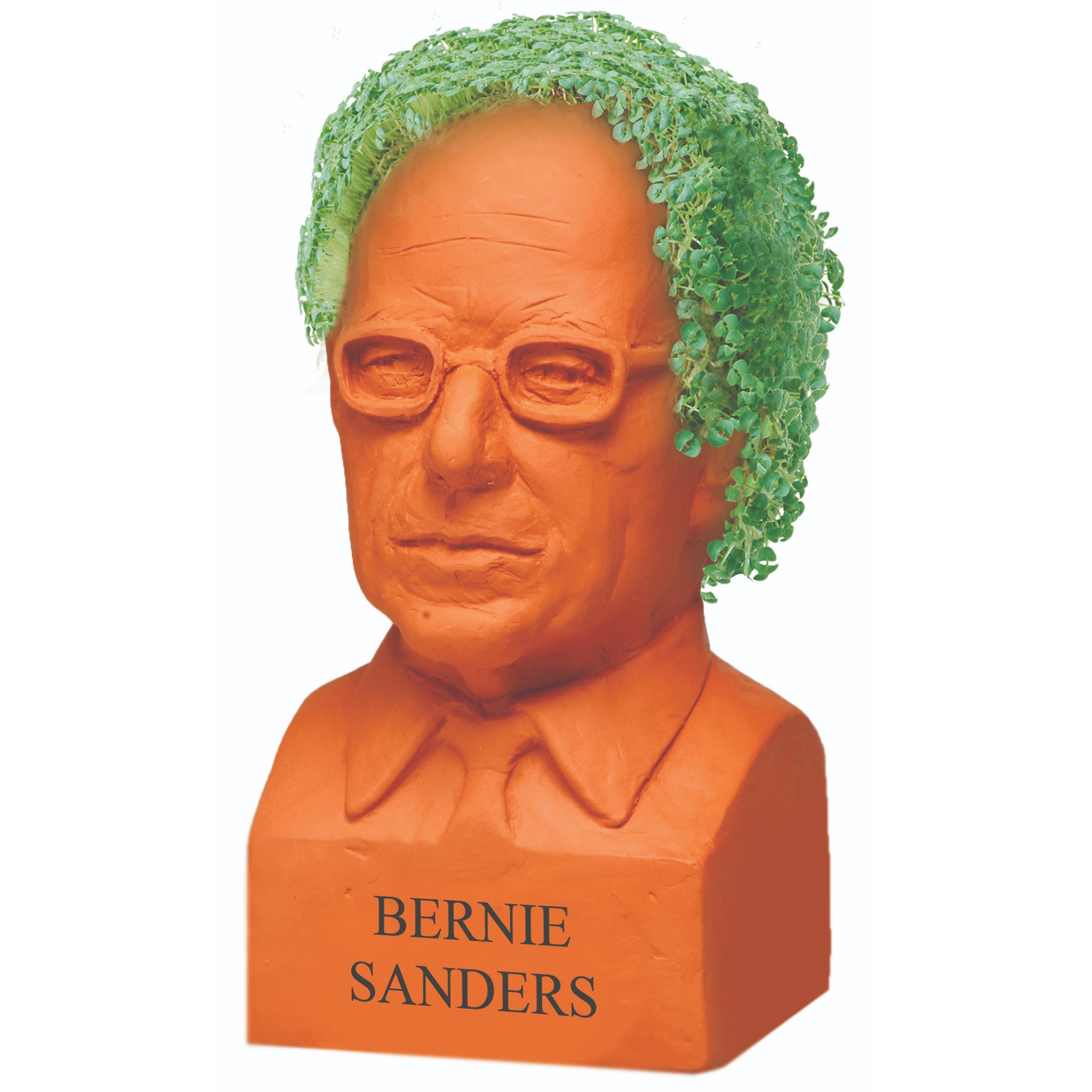 Bernie Sanders Chia Pet®