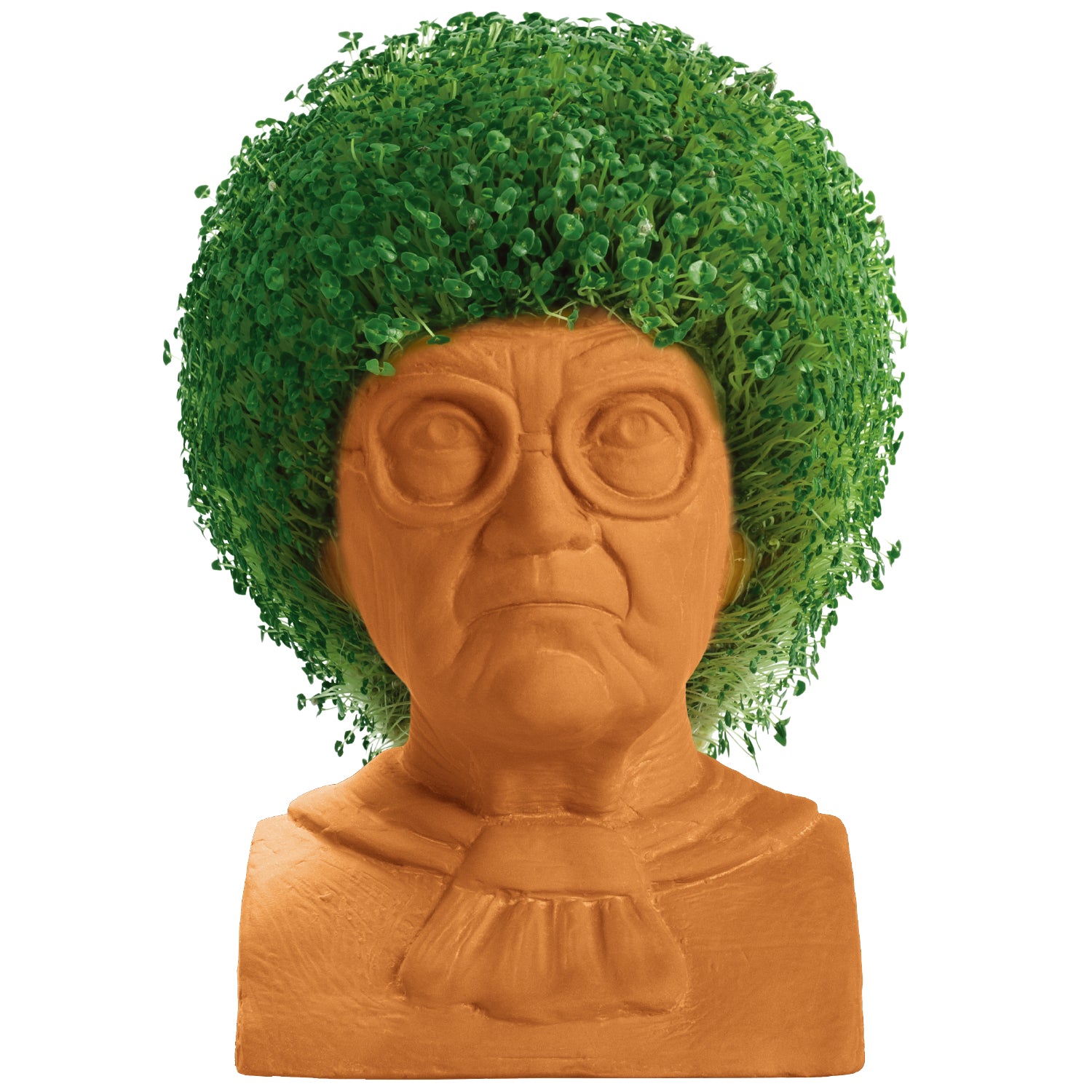 The Golden Girls Sophia Chia Pet® - Chia.com