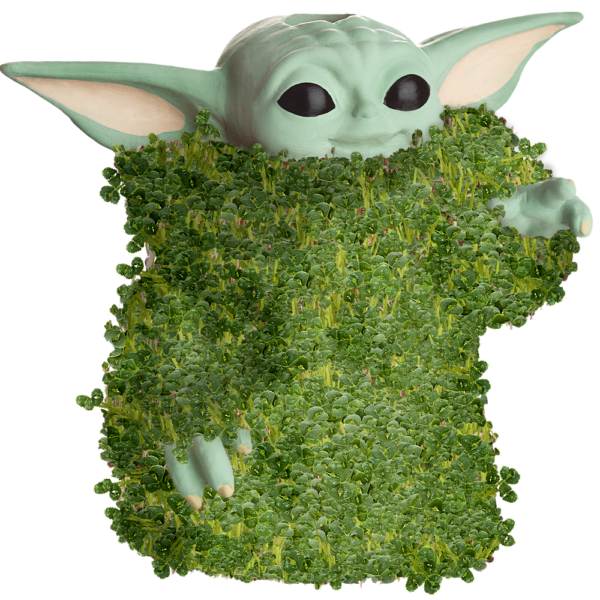 Star Wars Mandalorian Baby Yoda Chia Pet -  Israel