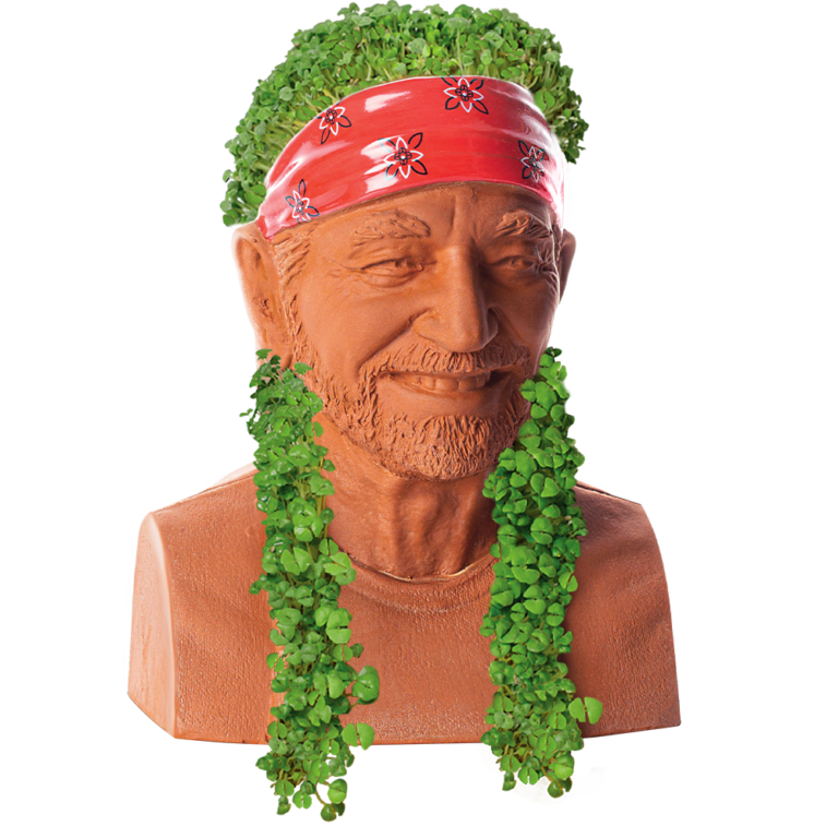 The Simpsons Homer Chia Pet® - SOLD OUT! - Chia.com