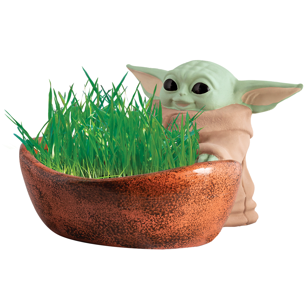 https://www.chia.com/wp-content/uploads/2023/04/JEICG762-01-0-NS-Star-Wars-The-Child-Chia-Cat-Grass-Planter_02.png