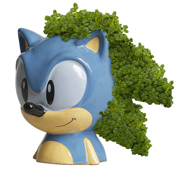 Sonic The Hedgehog Sonic Anime GIF - Sonic The Hedgehog Sonic Anime Sonic X  - Discover & Share GIFs