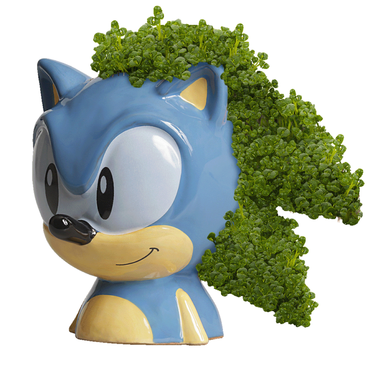 Sonic the Hedgehog Chia Pet® - Chia.com