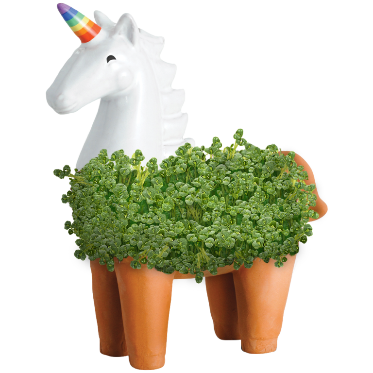 Chia Pets & Planters - Chia.com