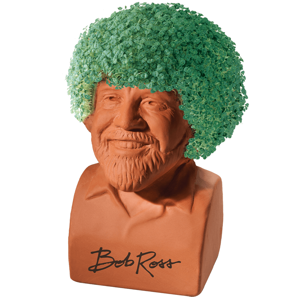 I bought this Bob Ross chia pet . . . These are not happy trees :  r/ExpectationVsReality