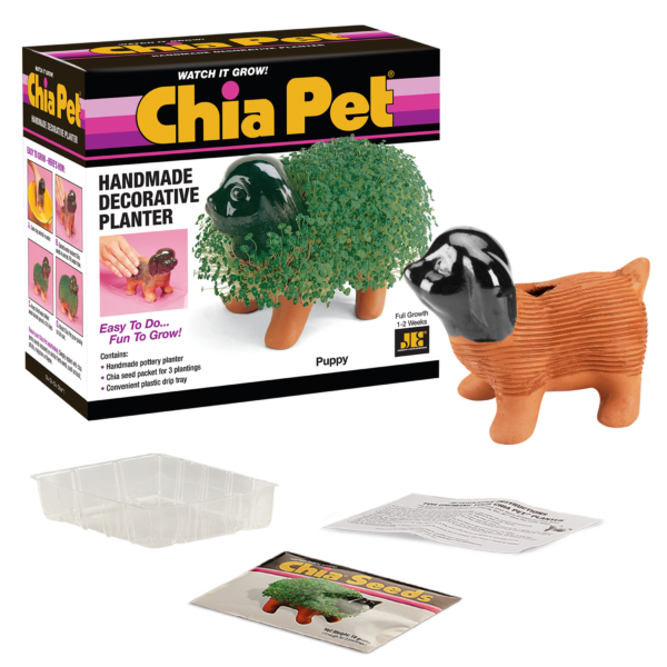 Original Puppy Chia Pet® - Chia.com