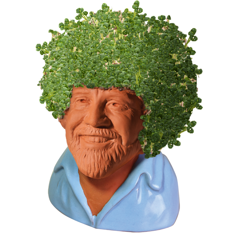 Bob Ross® in Blue Shirt Chia Pet® - Chia.com