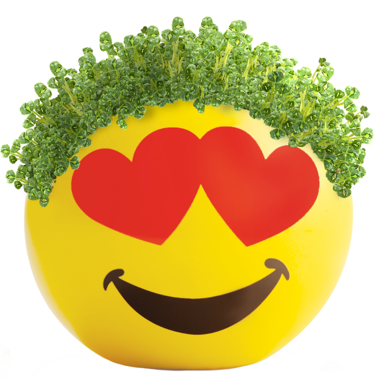 Emoji Heart Eyes Chia Pet®