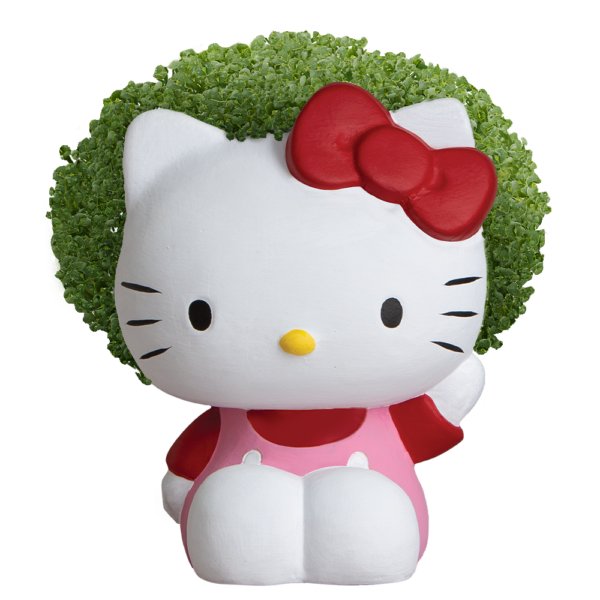 Hello Kitty® Chia Pet®