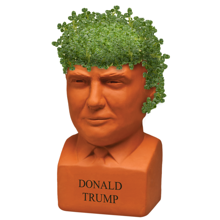 Donald Trump Chia Pet® - SOLD OUT! - Chia.com