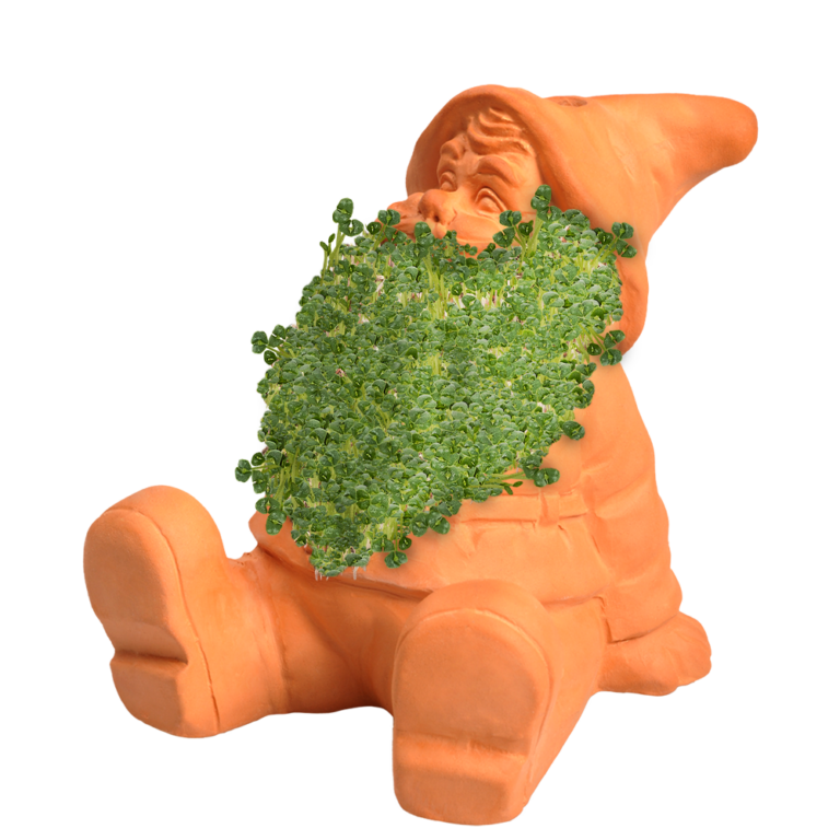 Classic Gnome Chia Pet® - Chia.com