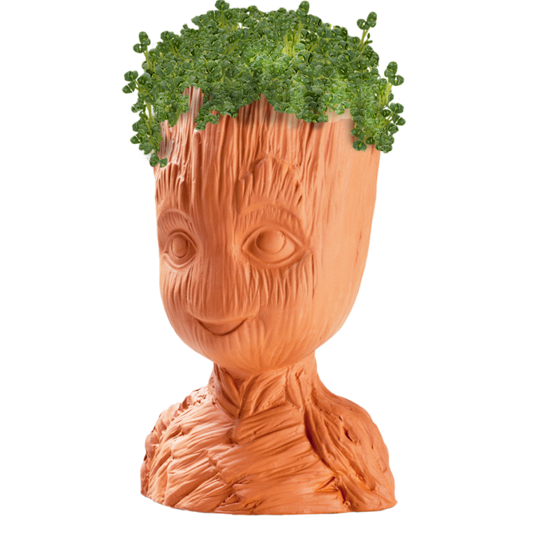 Guardians of the Galaxy Groot Chia Pet® - Chia.com