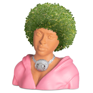 Bring home Chia Pet Donald Trump for just $15 Prime shipped + more