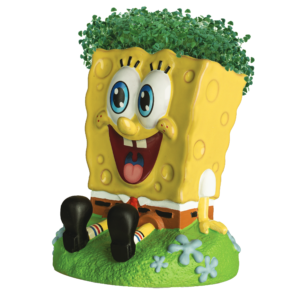 SpongeBob SquarePants Chia Pet