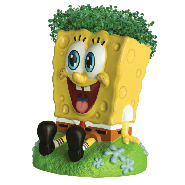 SpongeBob SquarePants Chia Pet